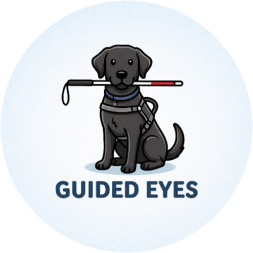 Guided Eyes