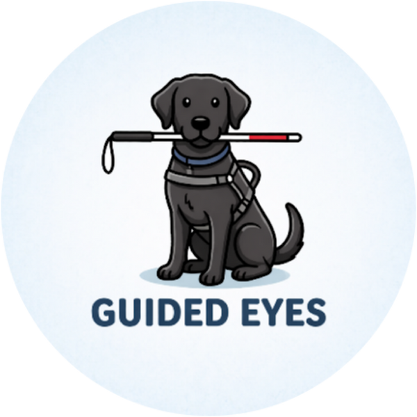 Guided Eyes